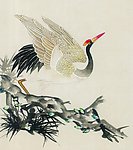 吉祥鸟类