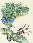 吉祥鸟类