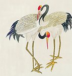吉祥鸟类