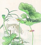吉祥鸟类