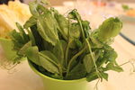火锅 蔬菜 豆芽 油菜