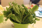 火锅 蔬菜 豆芽 油菜