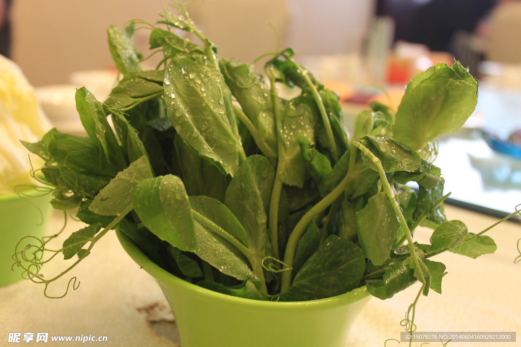 火锅 蔬菜 豆芽 油菜