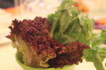 蔬菜 香麦 油麦菜 紫苏