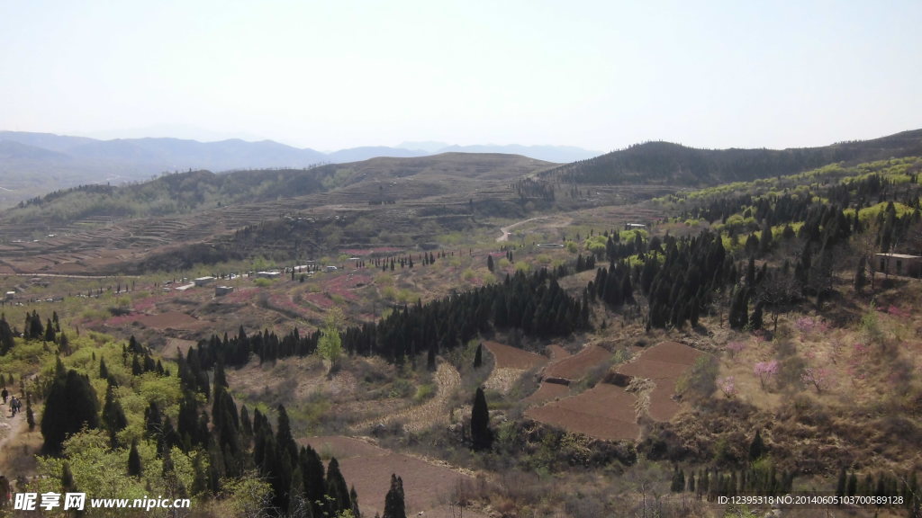 梯田