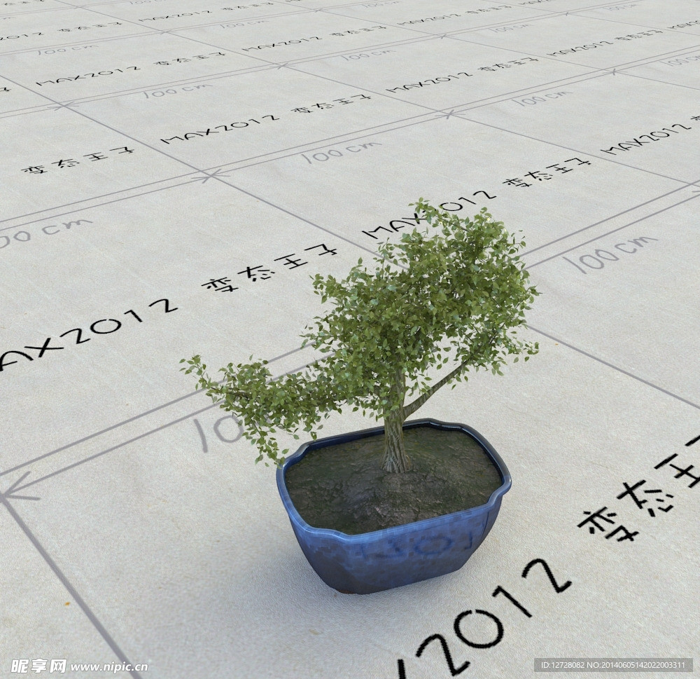 室内植物