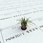 室内植物