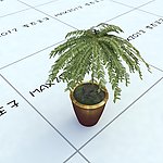 室内植物