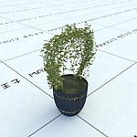 室内植物