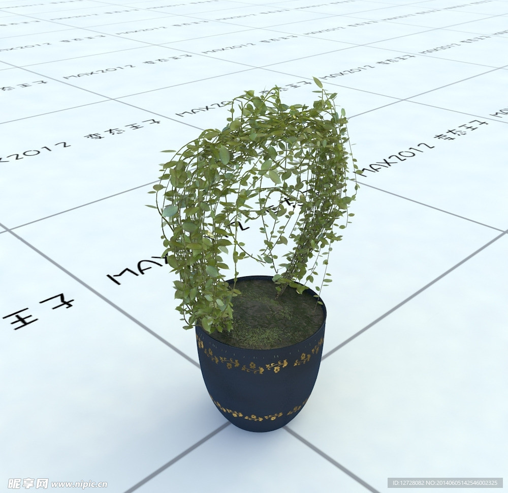 室内植物