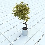 室内植物