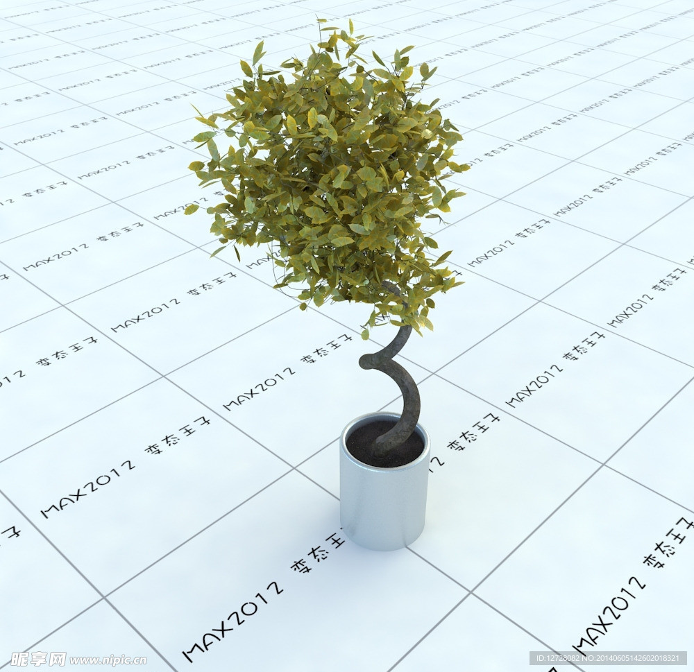 室内植物