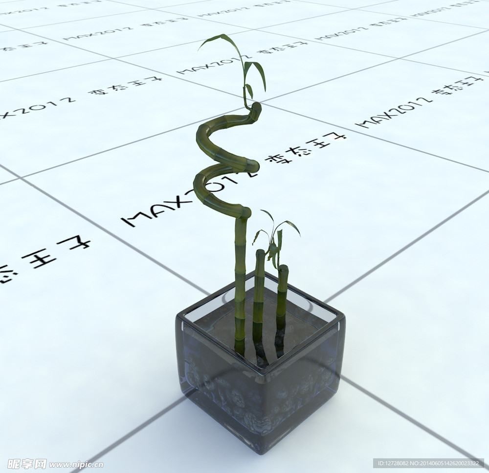室内植物