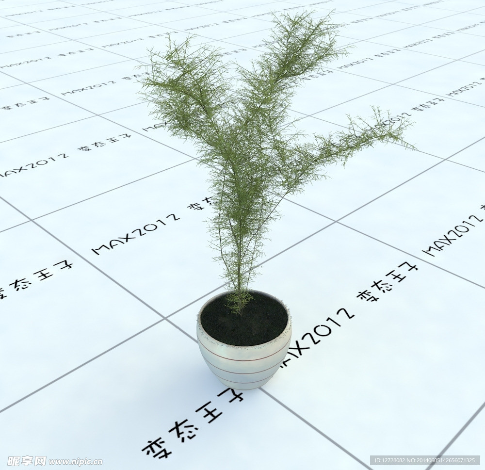 室内植物