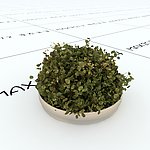 室内植物