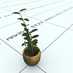 室内植物