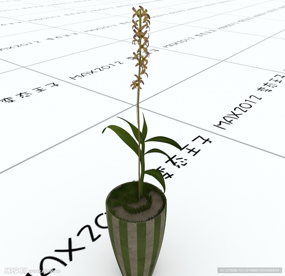室内植物