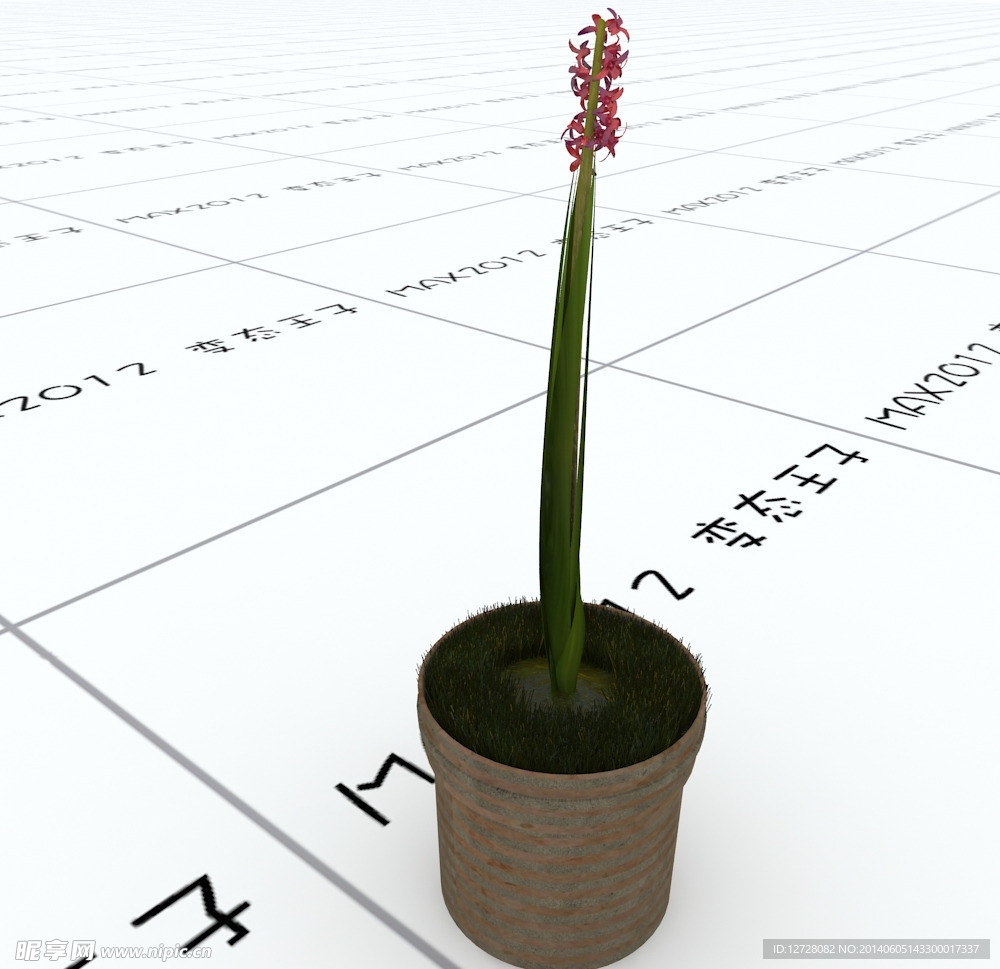 室内植物