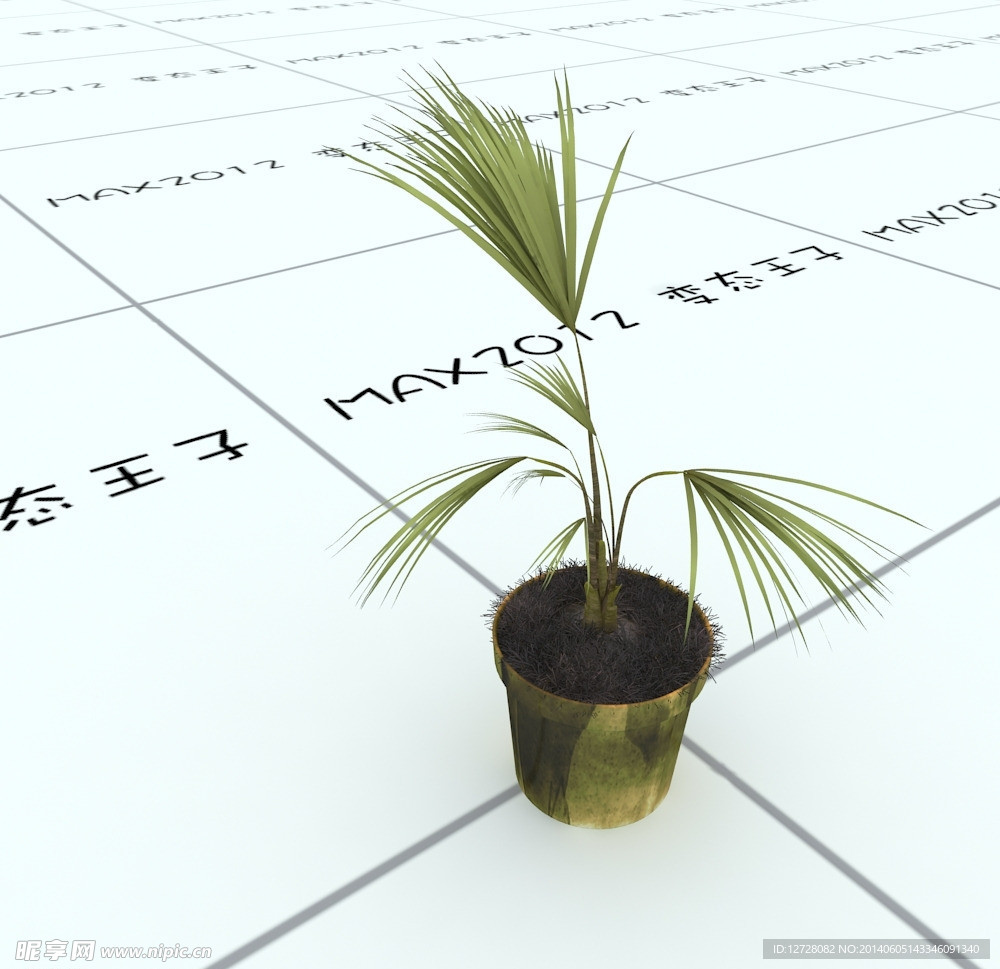 室内植物
