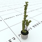 盆栽