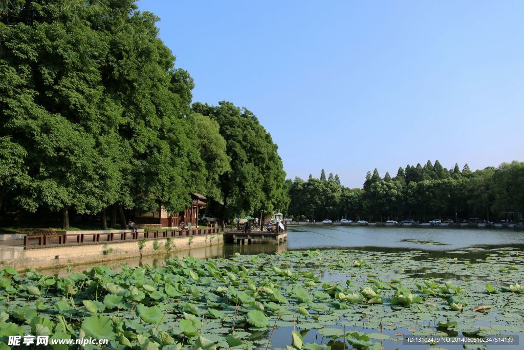 东湖风光