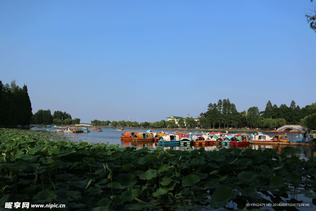 东湖风光