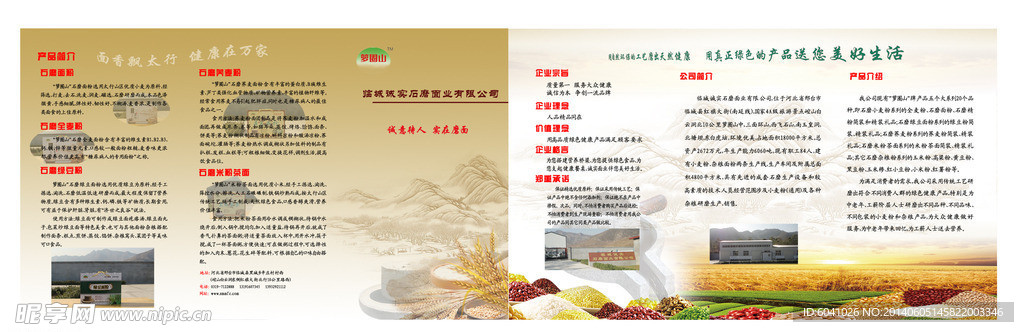 五谷杂粮宣传页