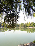 湖水景观