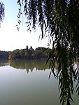 未名湖