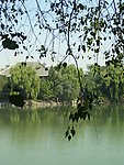 未名湖
