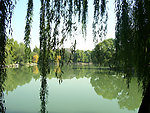 未名湖