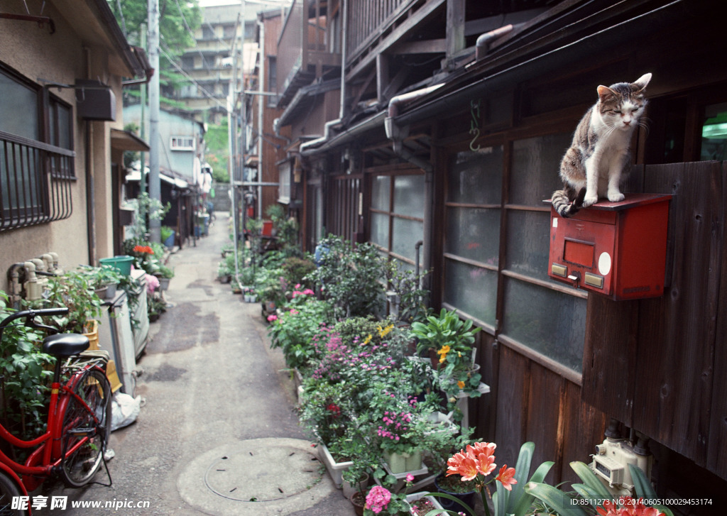 日本街道