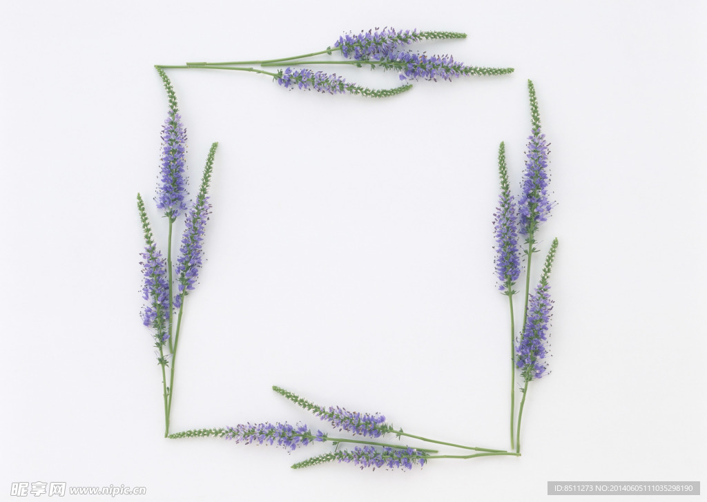 花草边框
