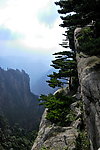 黄山风光