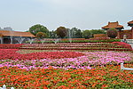 花海