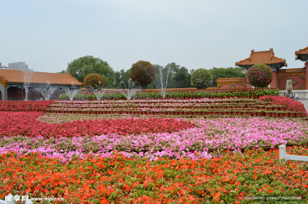 花海