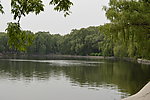 湖水风景