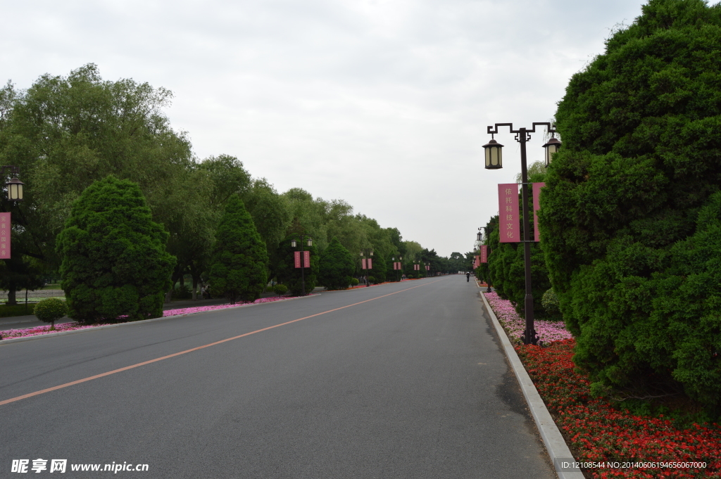 马路