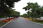 五彩大道