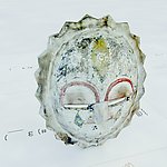 装饰品