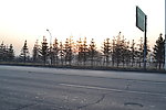 清晨的马路