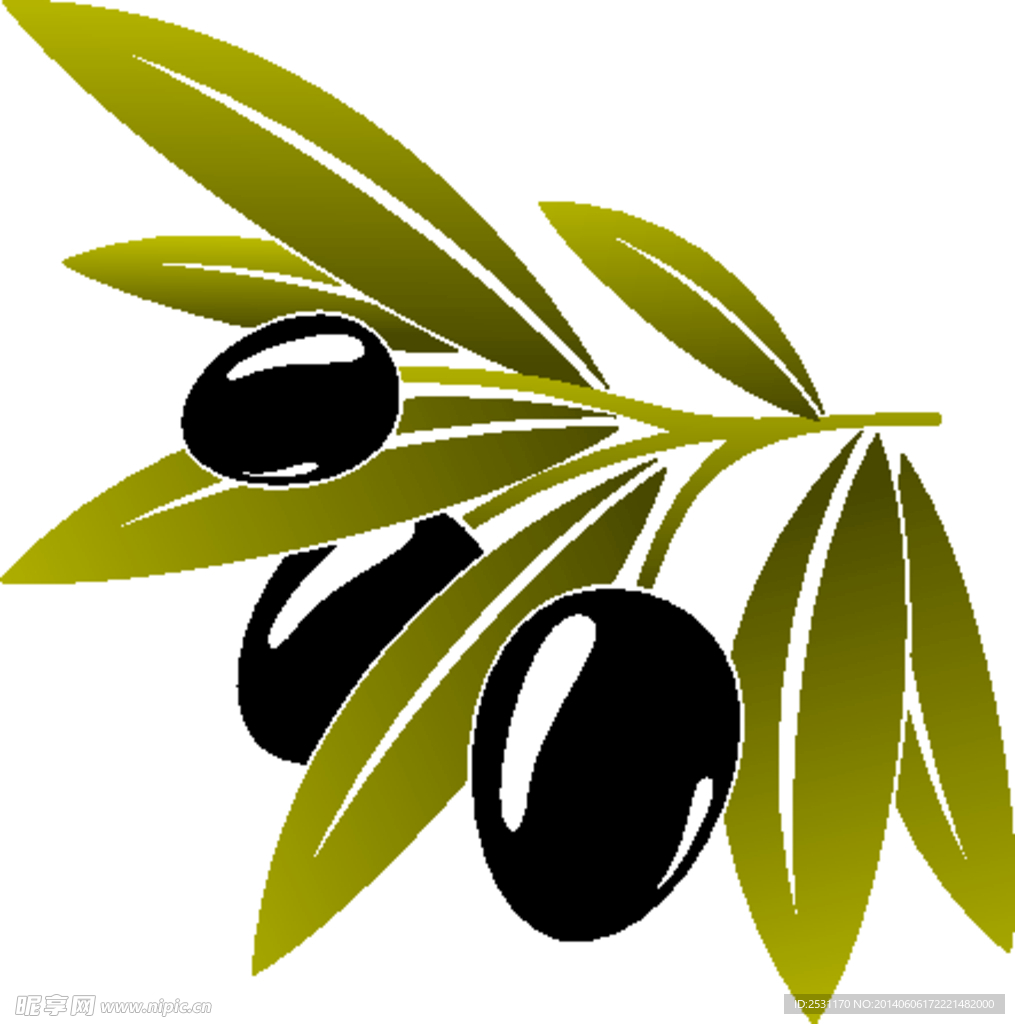 橄榄油