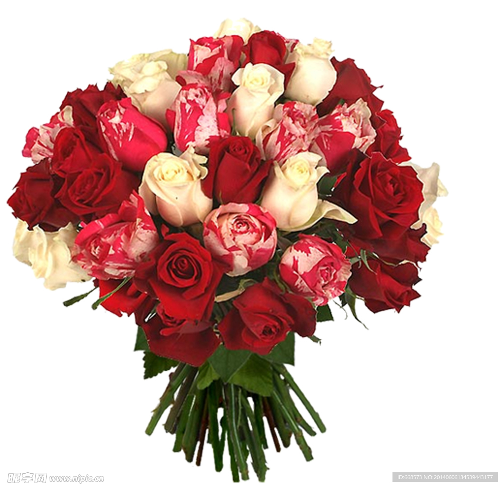 玫瑰 红色玫瑰花 花边