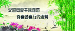 敬老院文化