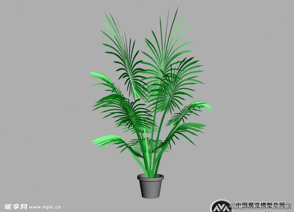 3D植物