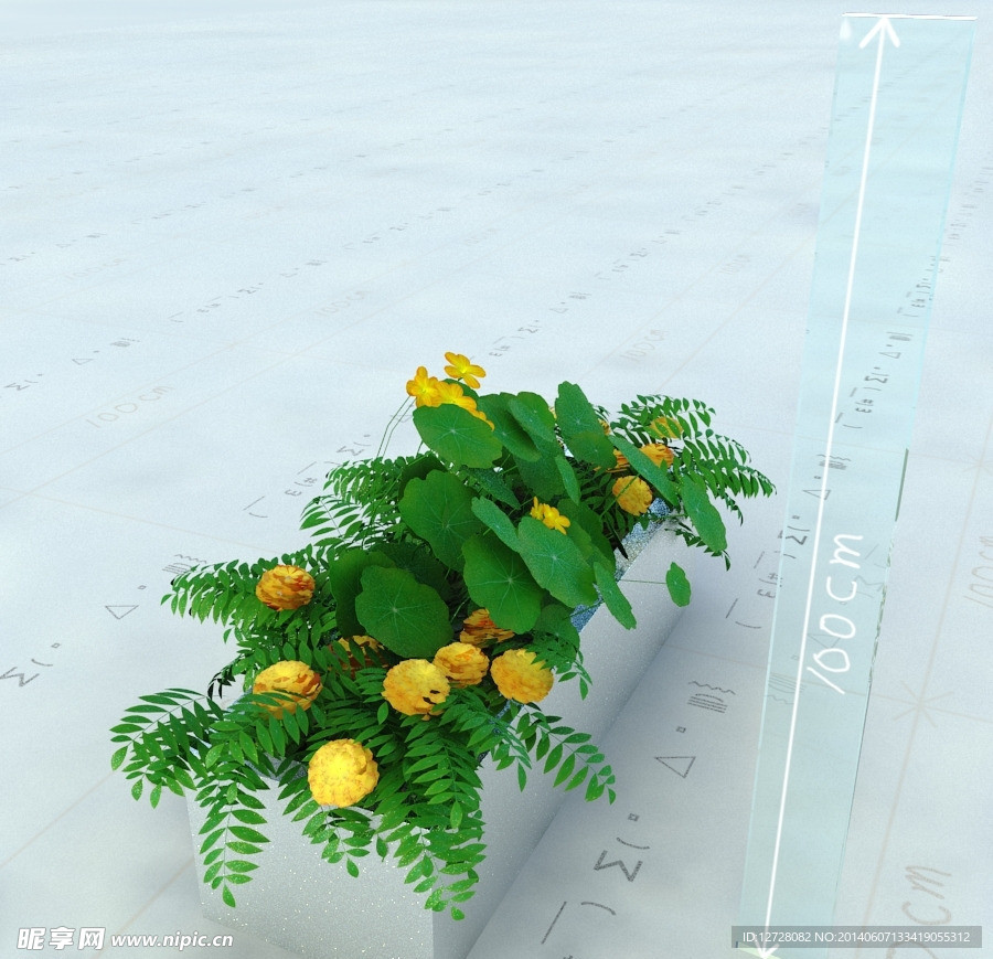 植物