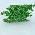园林植物