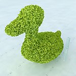 鸭子