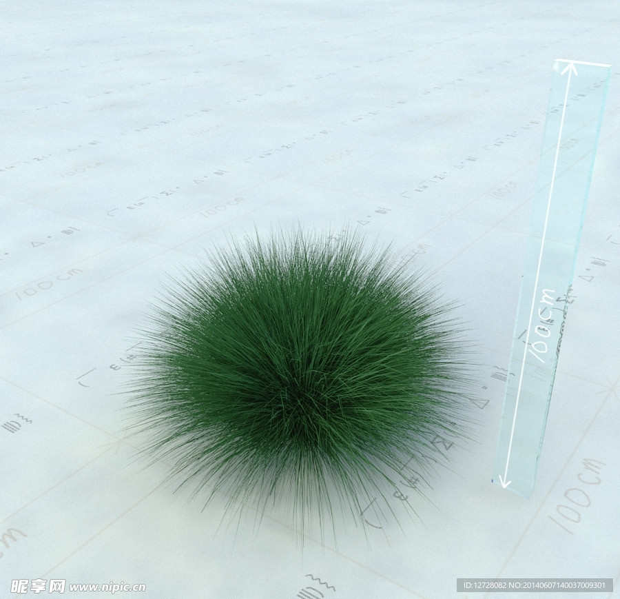 园林植物