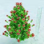 园林植物